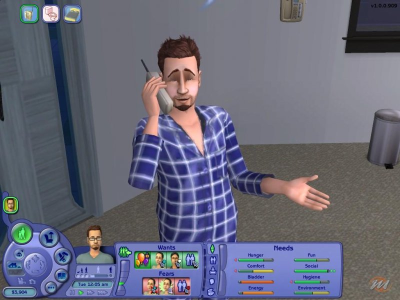 The Sims 2