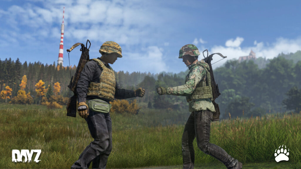 DayZ 