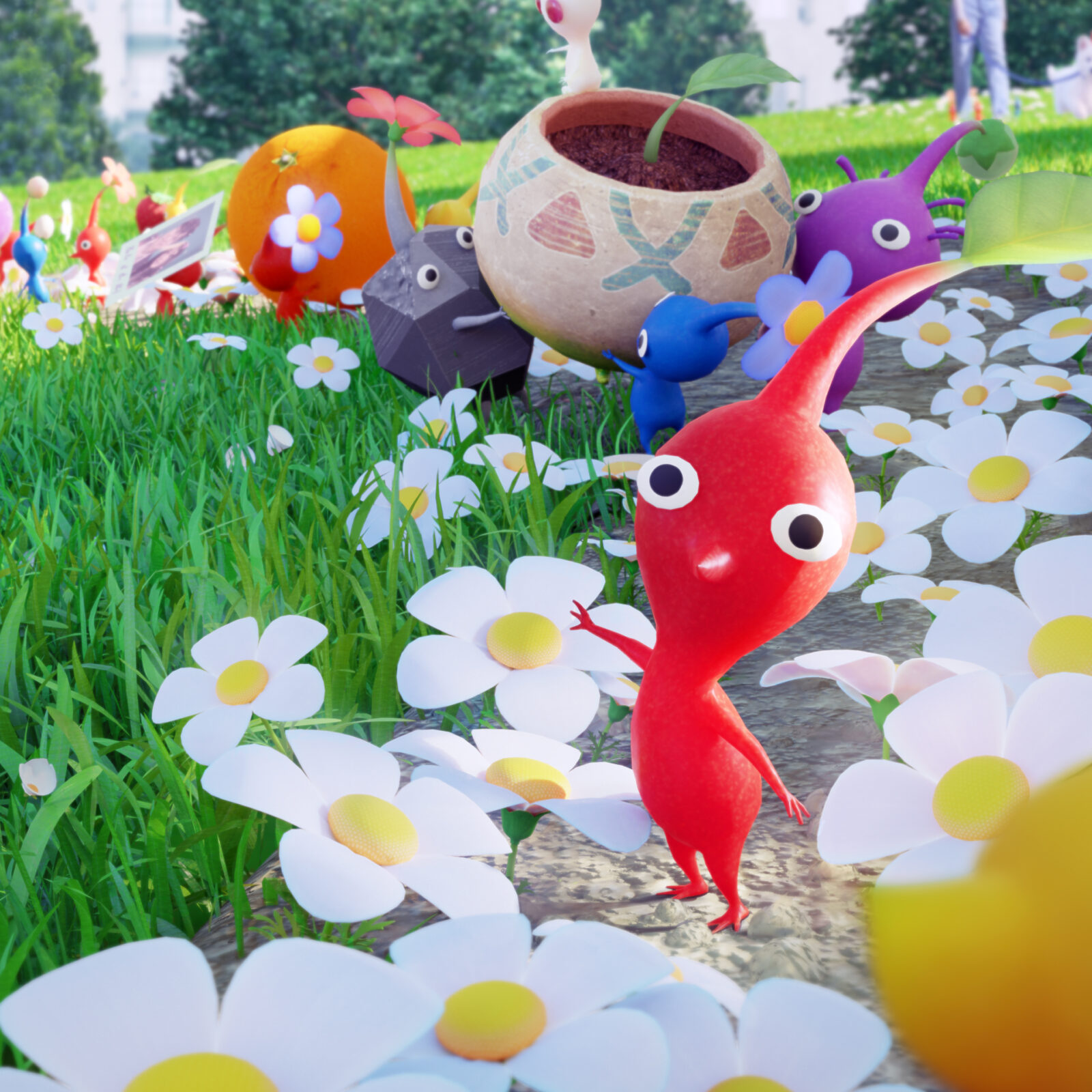 Pikmin Bloom