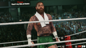 WWE 2k24