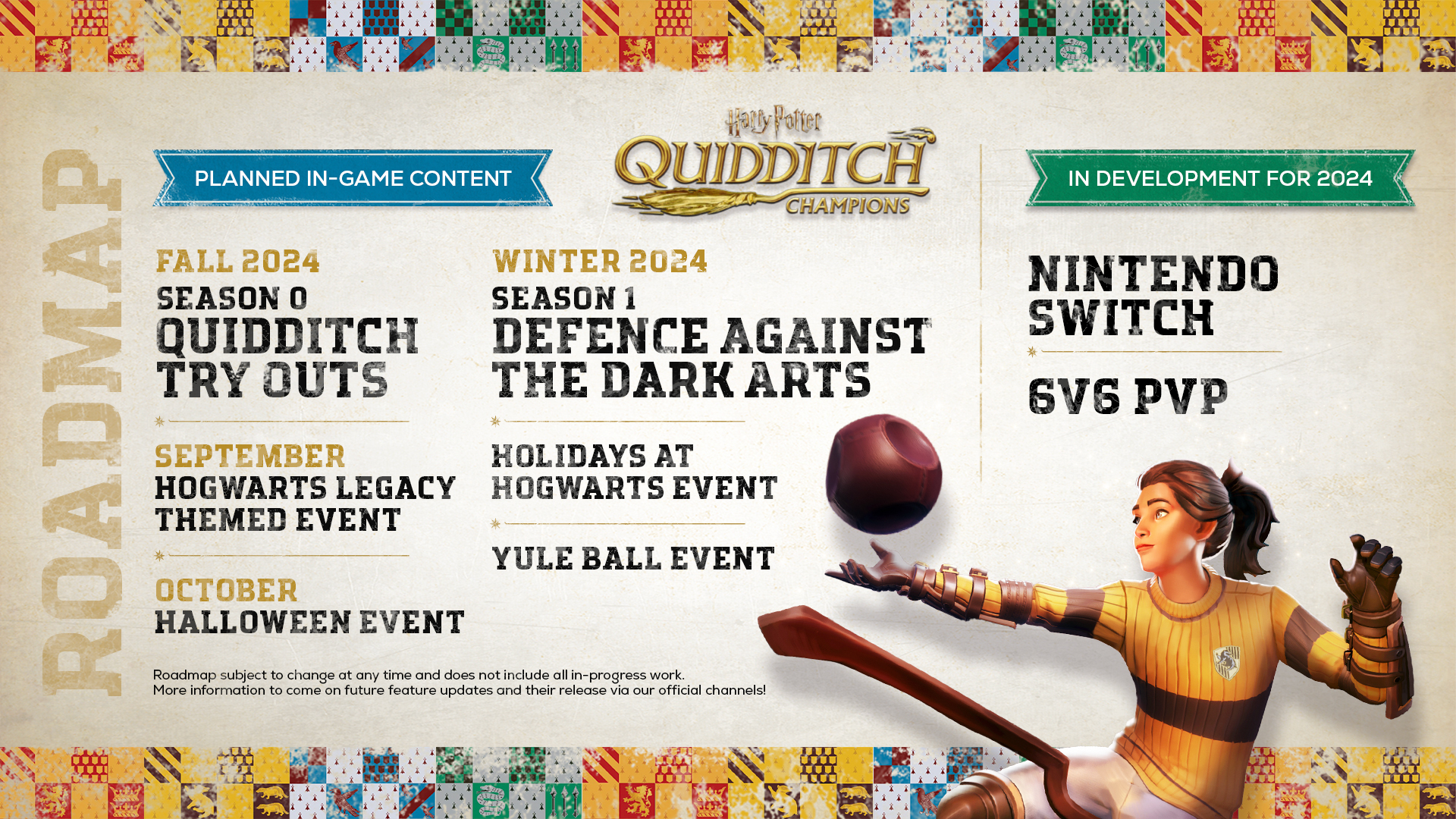 Harry Potter Campioni di Quidditch