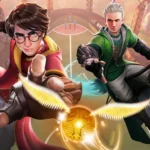 Harry Potter Campioni di Quidditch