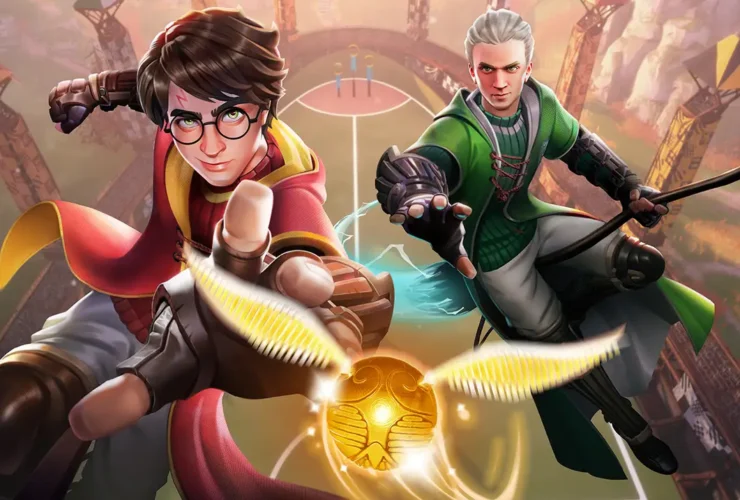 Harry Potter Campioni di Quidditch