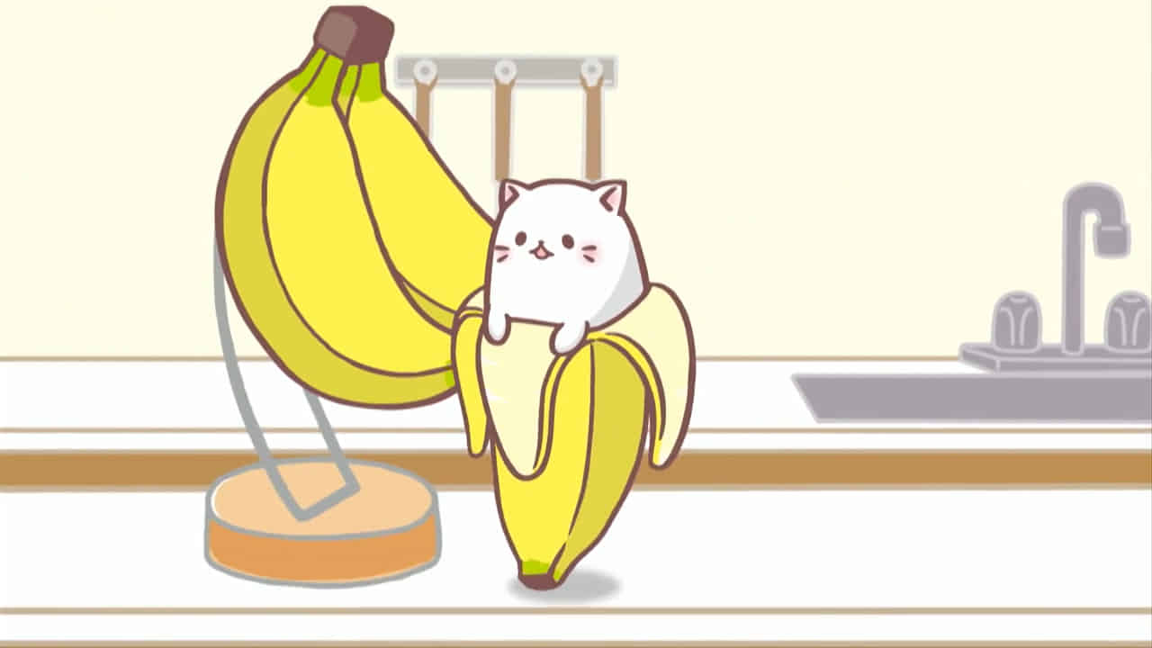 bananya around the world