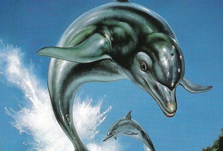 Ecco the Dolphin