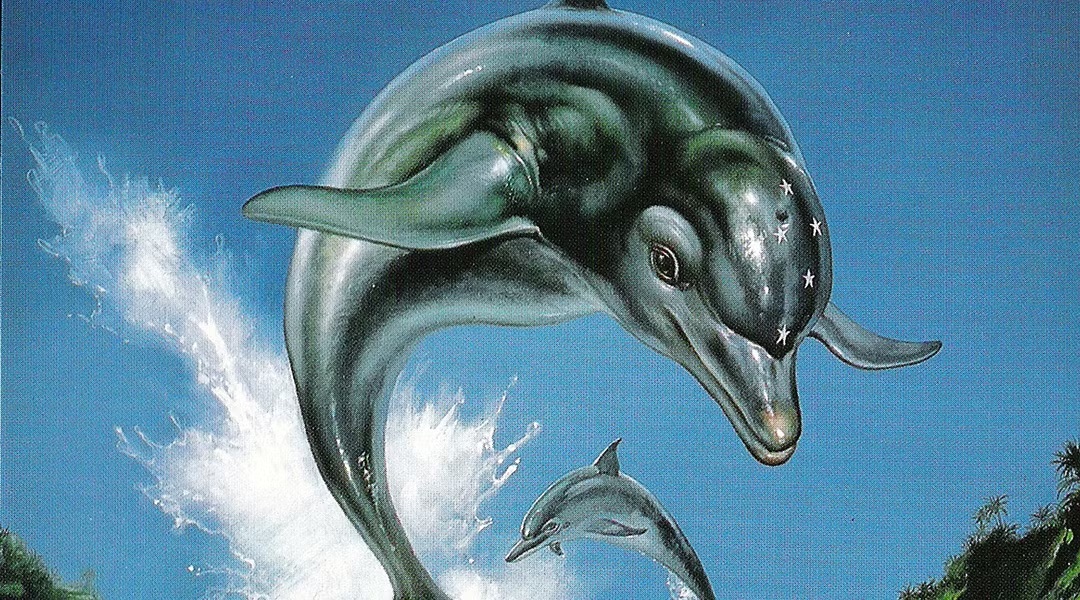 Ecco the Dolphin